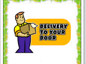COURIER SERVICE