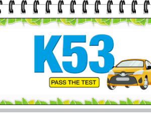 DRIVERS LICENSE